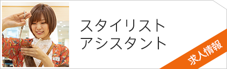 スタイリストアシスタント求人